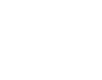 V-Parking